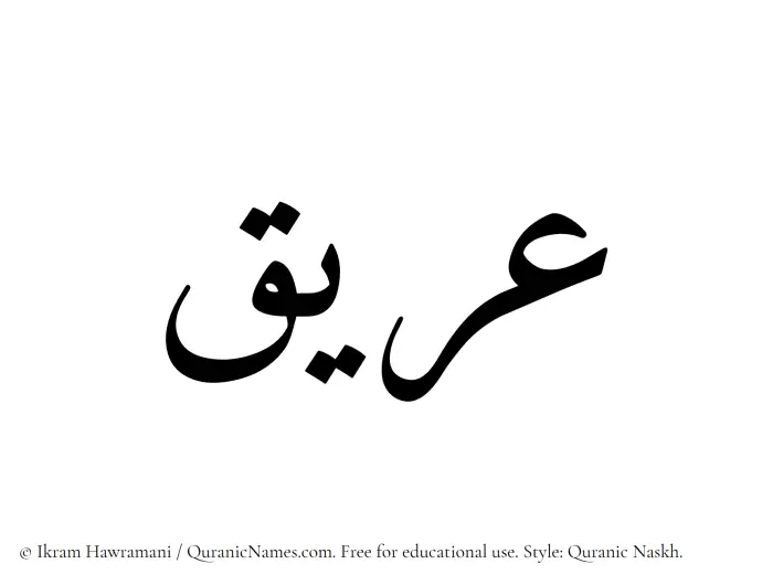 The Muslim name Areeq written in Quranic naskh script