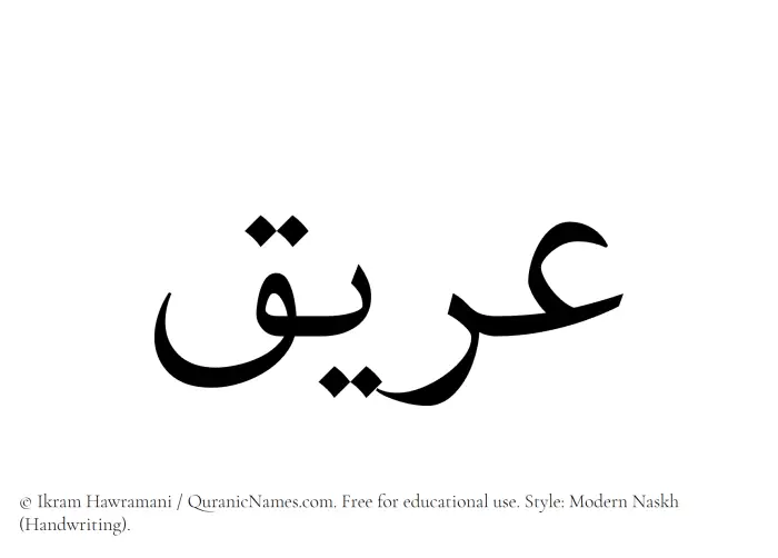 The Muslim name Areeq written in naskh script