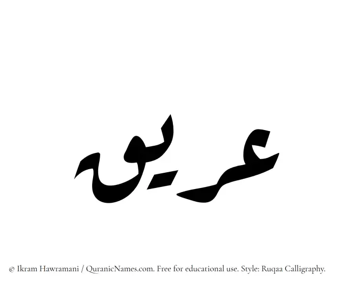 The Muslim name Areeq written in Ruqaa calligraphic script