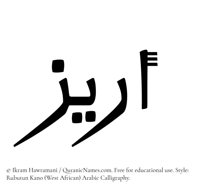 The Muslim name Areez written in Rubutun Kano calligraphic script