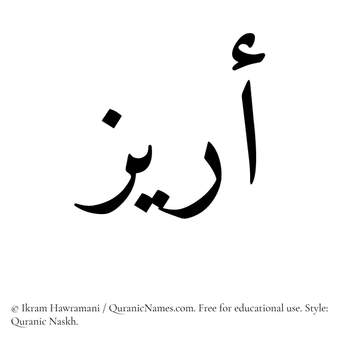 The Muslim name Areez written in Quranic naskh script