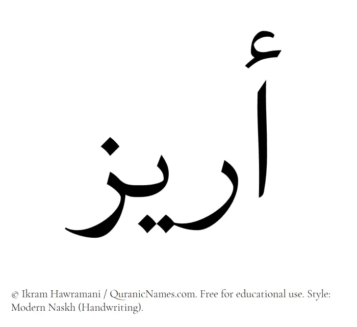 The Muslim name Areez written in naskh script
