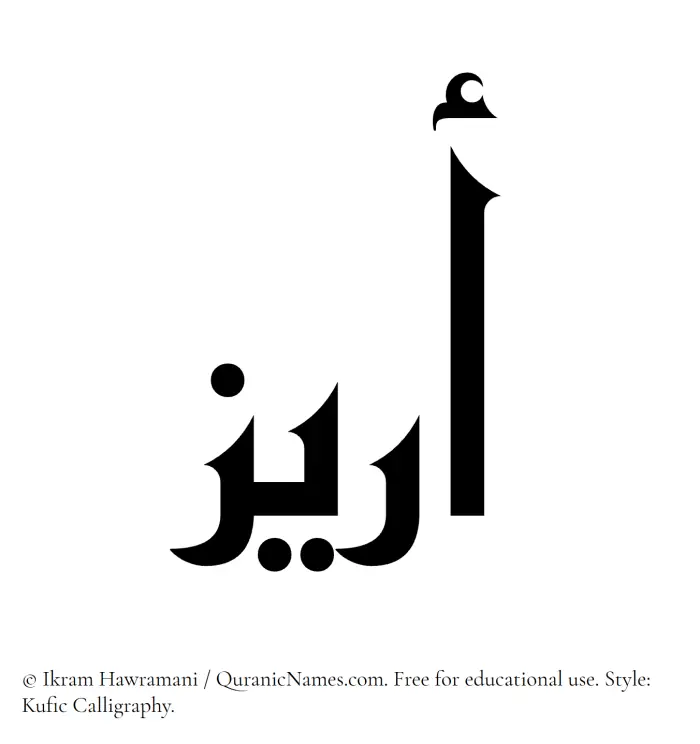 The Muslim name Areez written in Kufi/Kufic calligraphic script