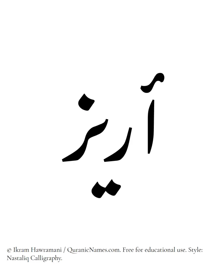 The Muslim name word Areez written in Nastaliq calligraphic script