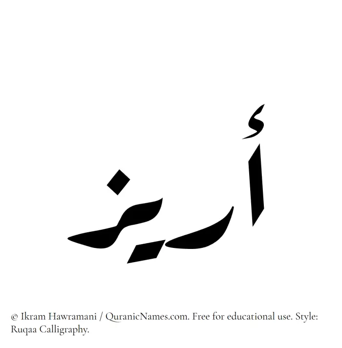 The Muslim name Areez written in Ruqaa calligraphic script