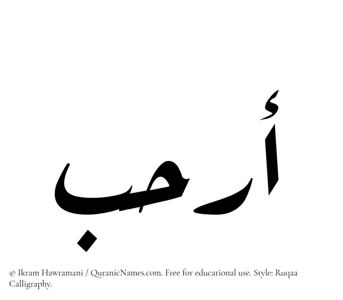 The Muslim name Arhab written in Ruqaa calligraphic script