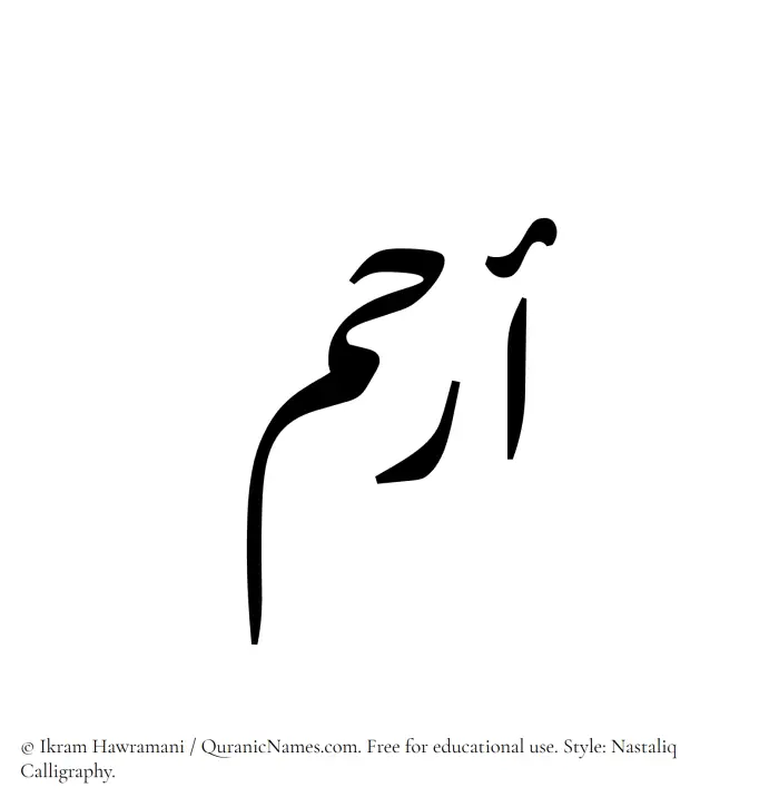The Muslim name word Arham written in Nastaliq calligraphic script