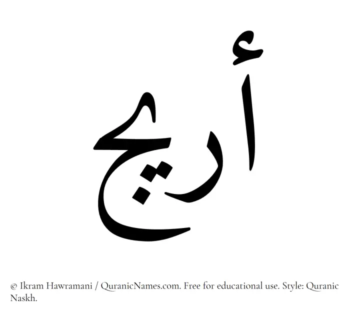 The Muslim name Arij written in Quranic naskh script