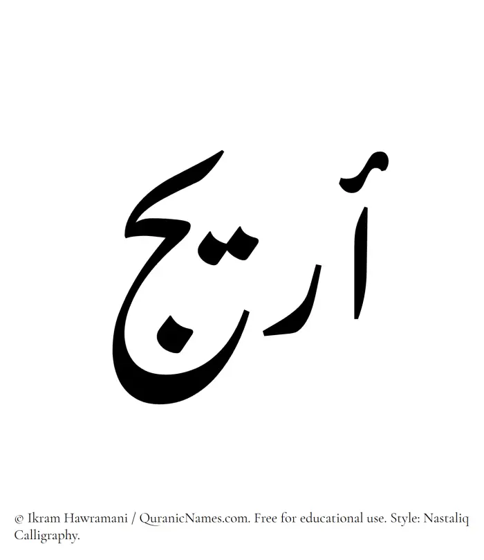 The Muslim name word Arij written in Nastaliq calligraphic script