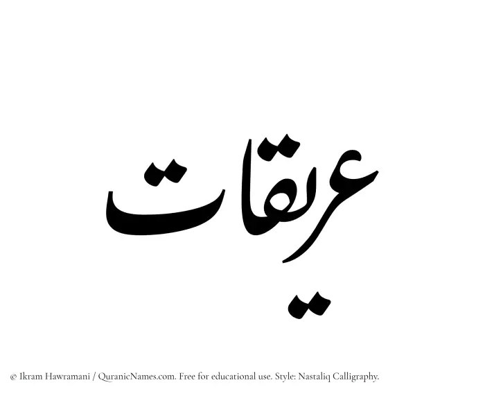 The Muslim name word Ariqaat written in Nastaliq calligraphic script