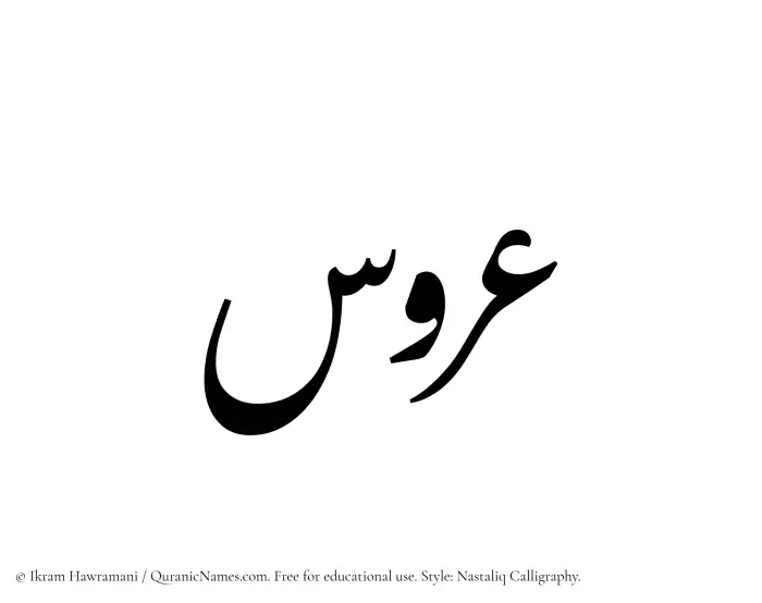 The Muslim name word Aroos written in Nastaliq calligraphic script
