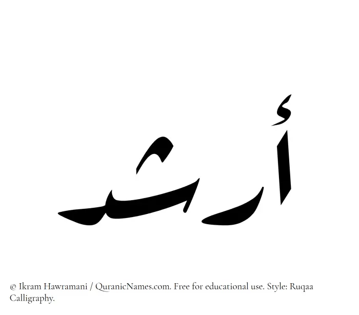 The Muslim name Arshad written in Ruqaa calligraphic script