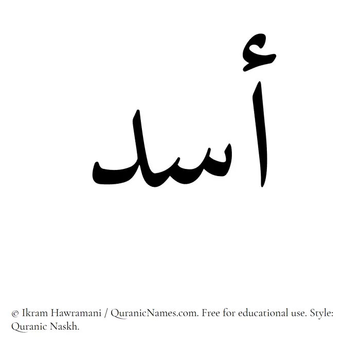 The Muslim name Asad written in Quranic naskh script