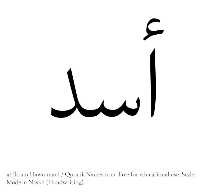 The Muslim name Asad written in naskh script