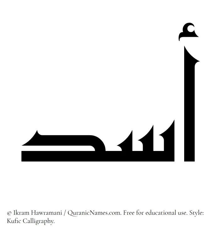 The Muslim name Asad written in Kufi/Kufic calligraphic script