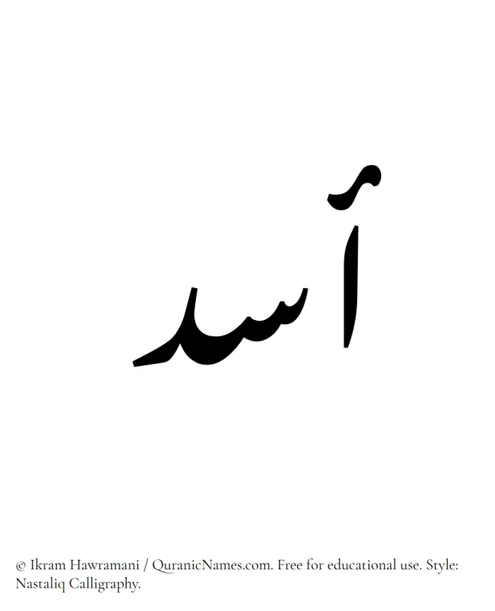The Muslim name word Asad written in Nastaliq calligraphic script