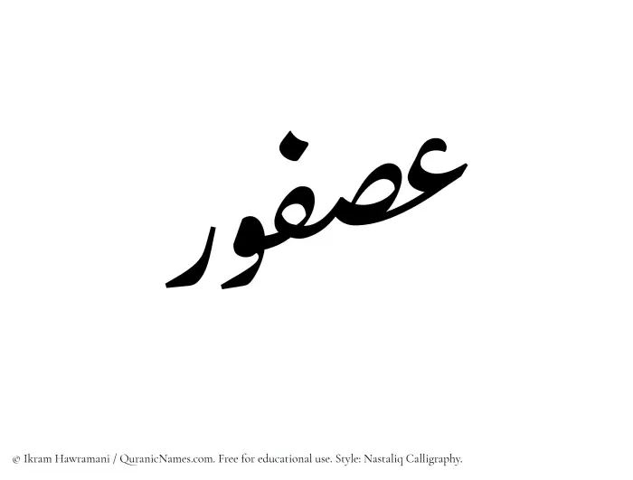 The Muslim name word Asfour written in Nastaliq calligraphic script