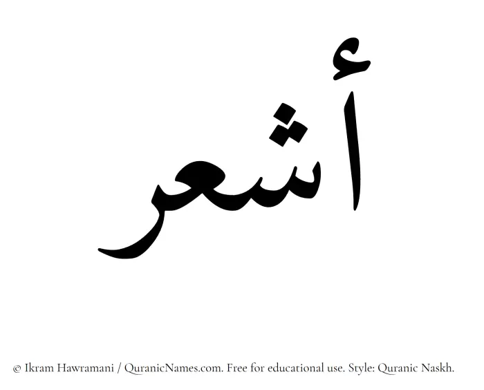 The Muslim name Ashaar written in Quranic naskh script