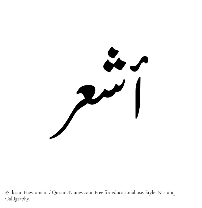 The Muslim name word Ashaar written in Nastaliq calligraphic script