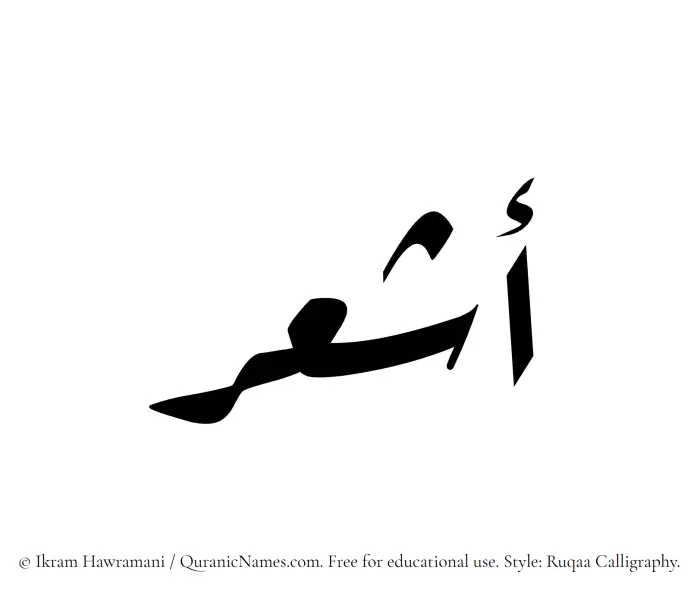 The Muslim name Ashaar written in Ruqaa calligraphic script
