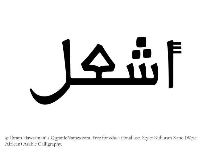 The Muslim name Ashal written in Rubutun Kano calligraphic script