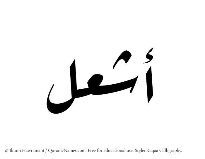 The Muslim name Ashal written in Ruqaa calligraphic script