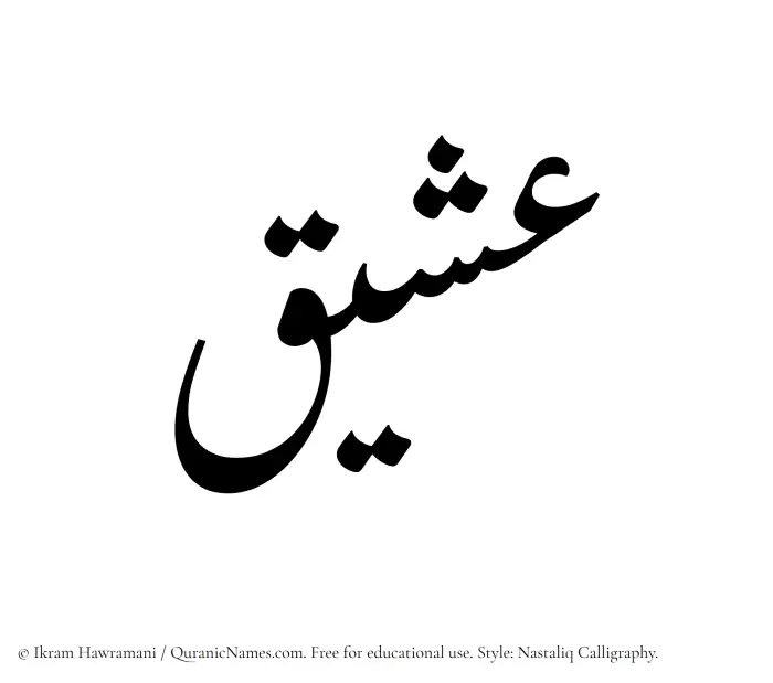 The Muslim name word Asheeq written in Nastaliq calligraphic script
