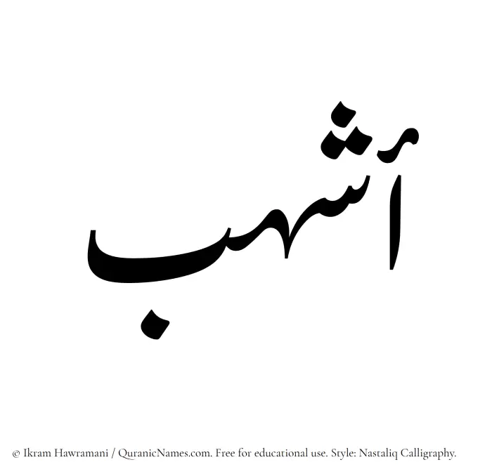 The Muslim name word Ashhub written in Nastaliq calligraphic script