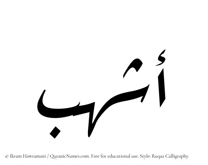 The Muslim name Ashhub written in Ruqaa calligraphic script