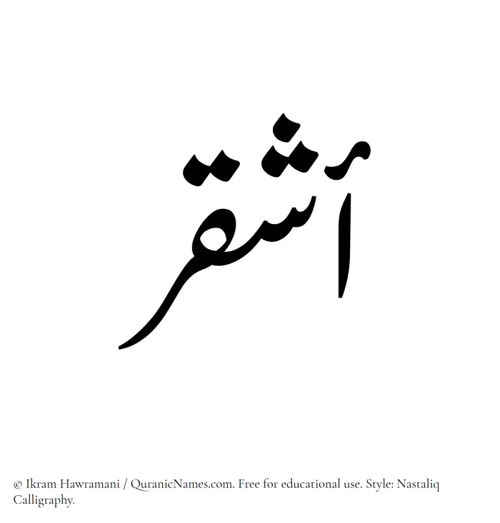 The Muslim name word Ashqar written in Nastaliq calligraphic script