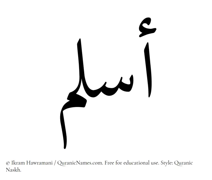 The Muslim name Aslam written in Quranic naskh script