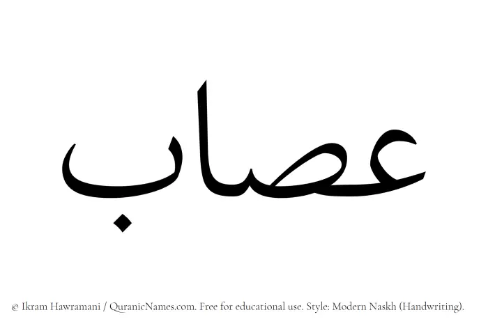The Muslim name Assab written in naskh script