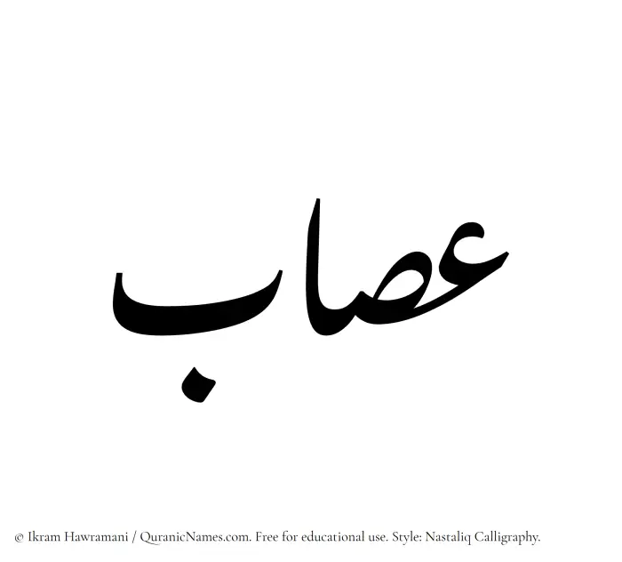 The Muslim name word Assab written in Nastaliq calligraphic script