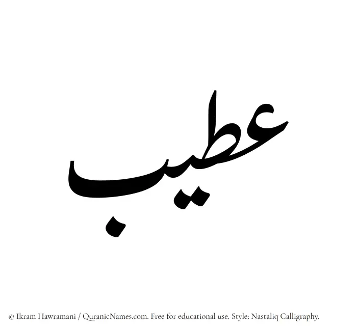 The Muslim name word Ateeb written in Nastaliq calligraphic script