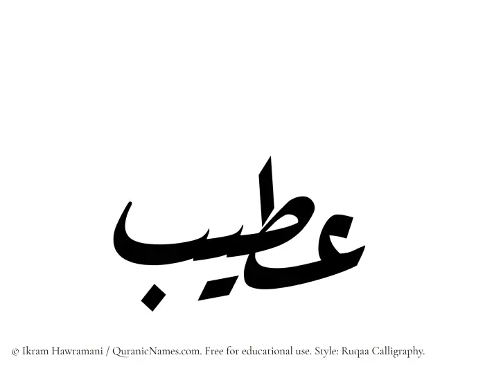 The Muslim name Ateeb written in Ruqaa calligraphic script