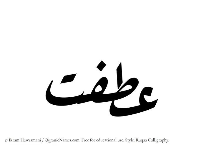 The Muslim name Atfat written in Ruqaa calligraphic script
