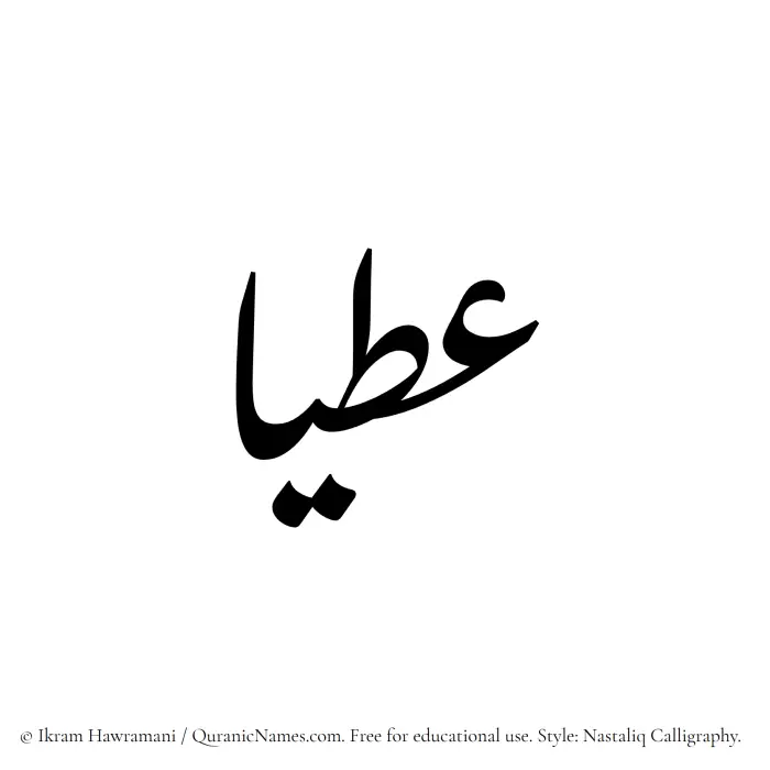 The Muslim name word Atiyaa written in Nastaliq calligraphic script