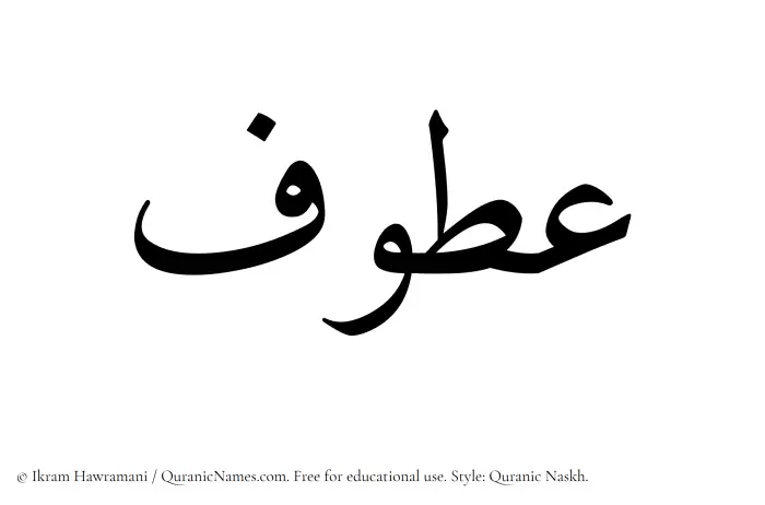 The Muslim name Atoof written in Quranic naskh script