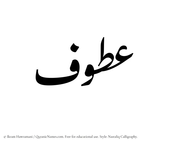 The Muslim name word Atoof written in Nastaliq calligraphic script