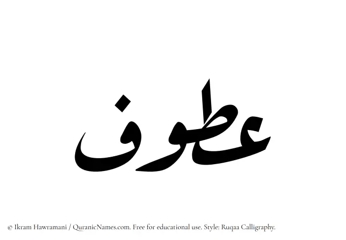 The Muslim name Atoof written in Ruqaa calligraphic script