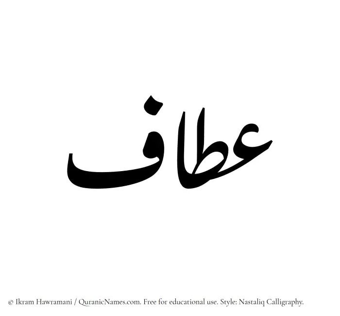 The Muslim name word Attaf written in Nastaliq calligraphic script