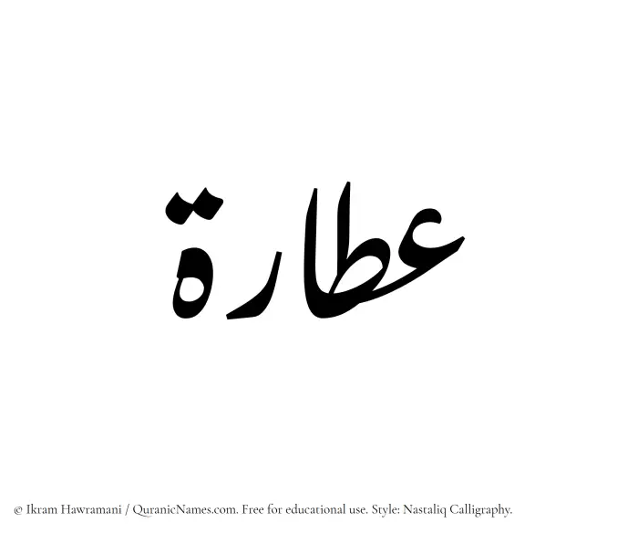 The Muslim name word Attarah written in Nastaliq calligraphic script