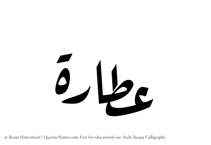 The Muslim name Attarah written in Ruqaa calligraphic script