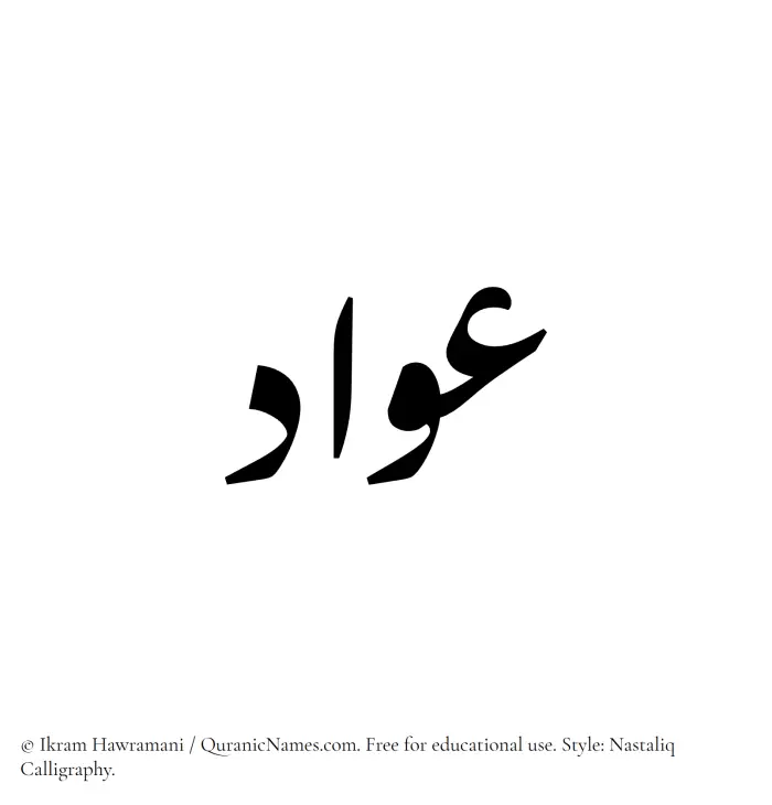 The Muslim name word Awad written in Nastaliq calligraphic script