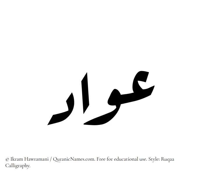 The Muslim name Awad written in Ruqaa calligraphic script