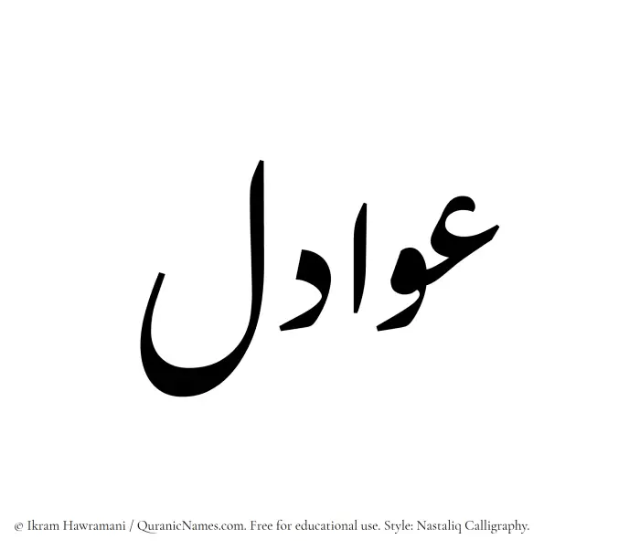 The Muslim name word Awadil written in Nastaliq calligraphic script
