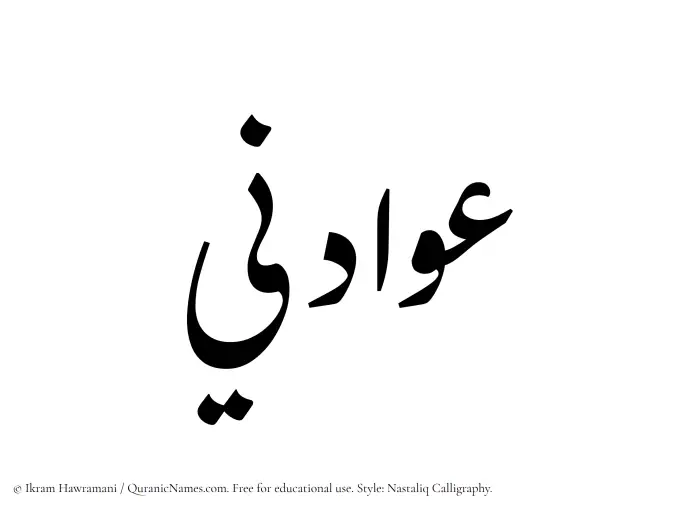 The Muslim name word Awadini written in Nastaliq calligraphic script