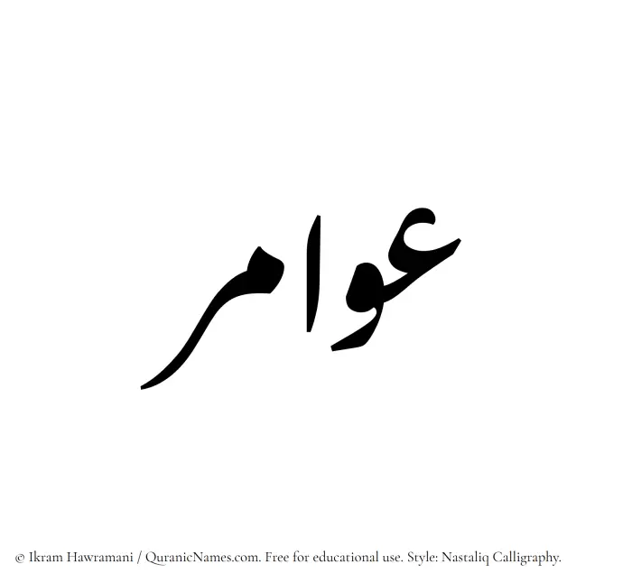 The Muslim name word Awamir written in Nastaliq calligraphic script
