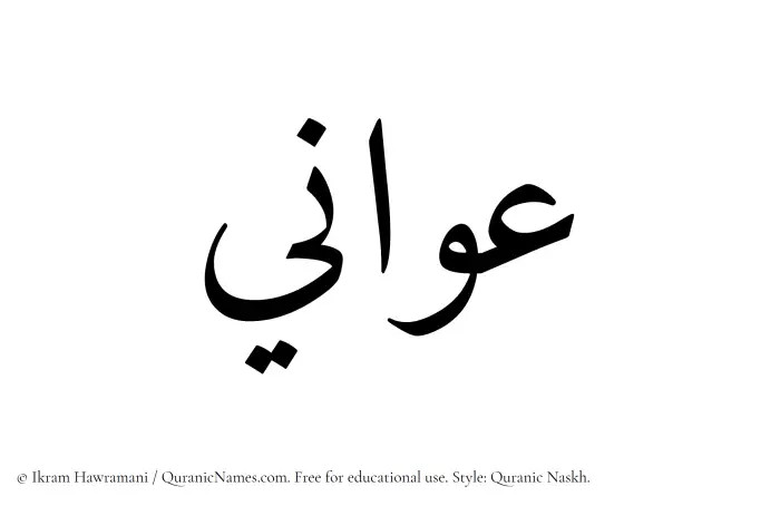 The Muslim name Awani written in Quranic naskh script