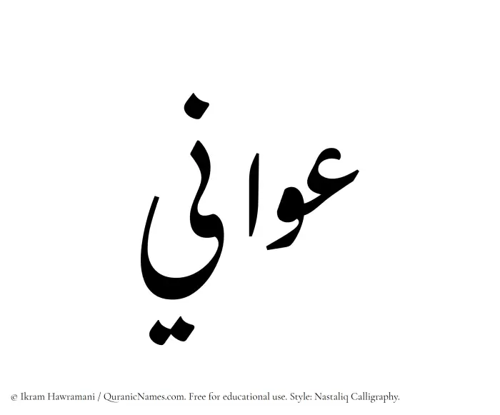 The Muslim name word Awani written in Nastaliq calligraphic script